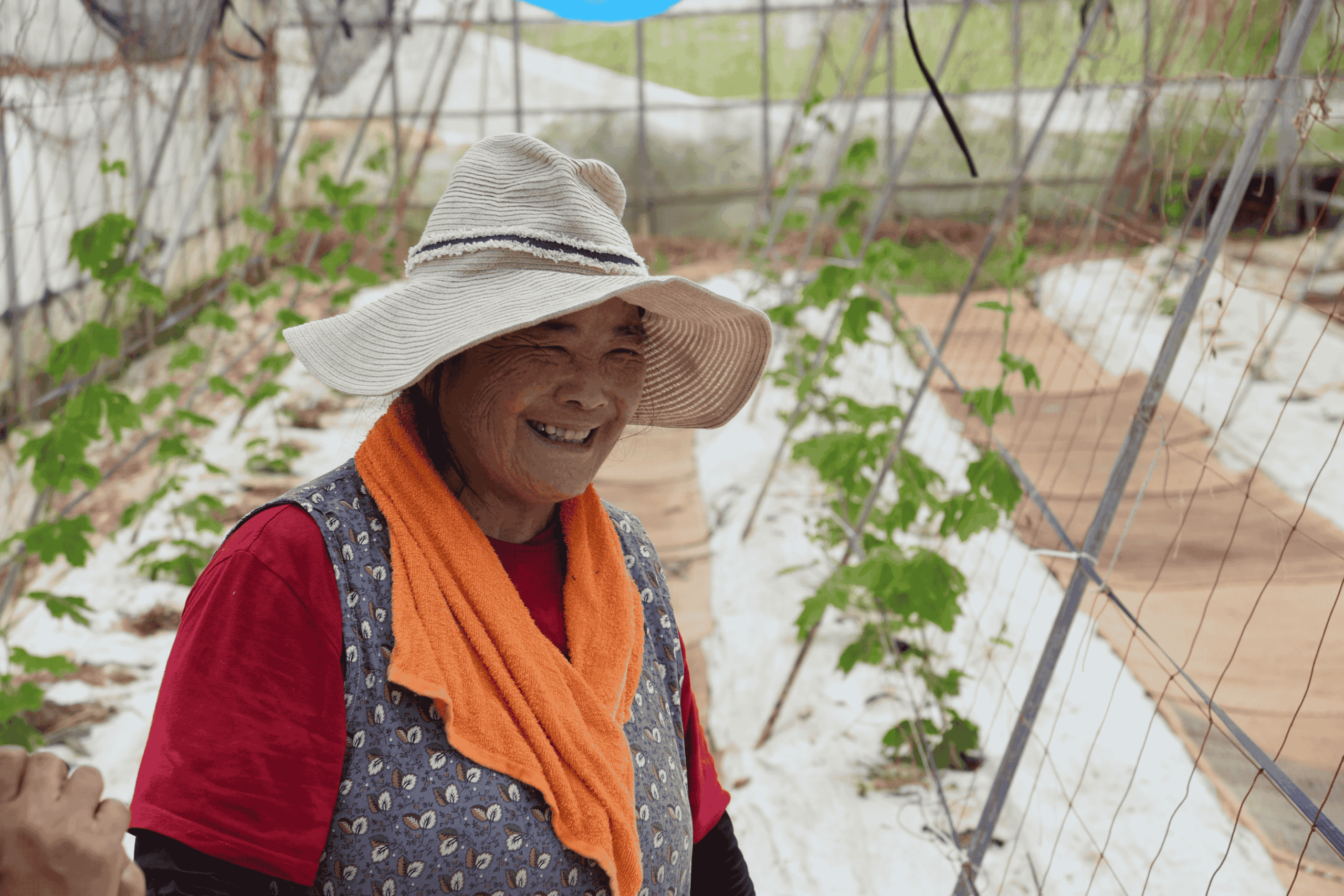 野原さんの暮らし